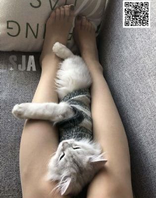 国产剧女明星_国产剧全集免费观看